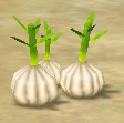 File:Beetle garlic.png