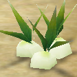 File:Beetle onions.png