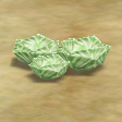 File:Beetle cabbage.png